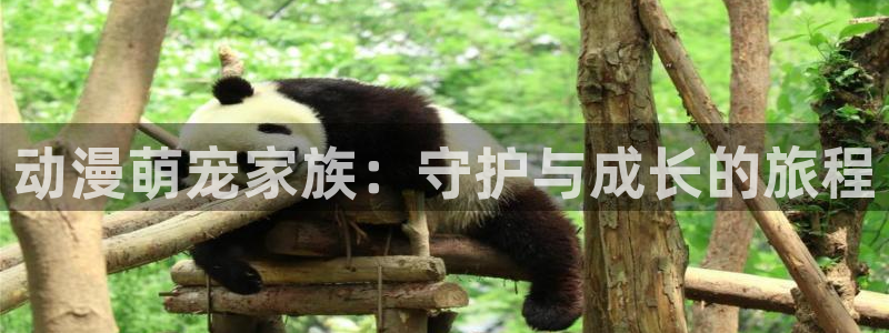 78动漫网页版高达说明书