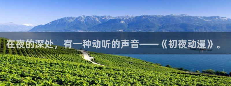 78动漫不用下载看