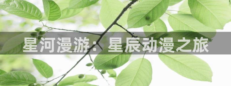 78动漫网页版高达说明书