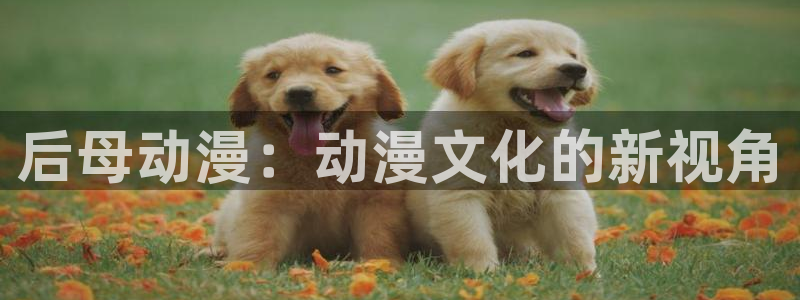 朝戈78动漫短剧