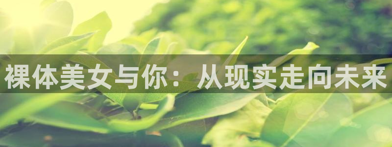 78动漫官网网站